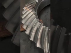 オーダーメイド ベーベルリングギア 不同産業用途のための防腐